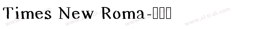 Times New Roma字体转换